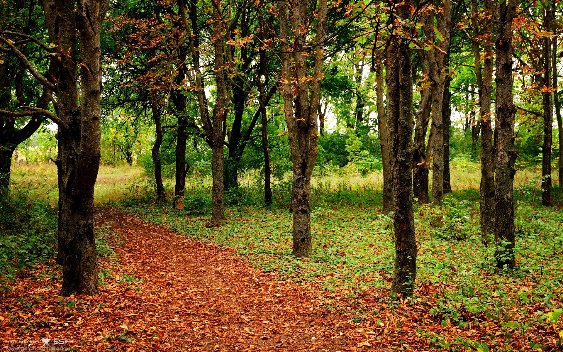 心脏，在攻防转换时狂跳，德里赫特，橙衣军团沉默的命脉