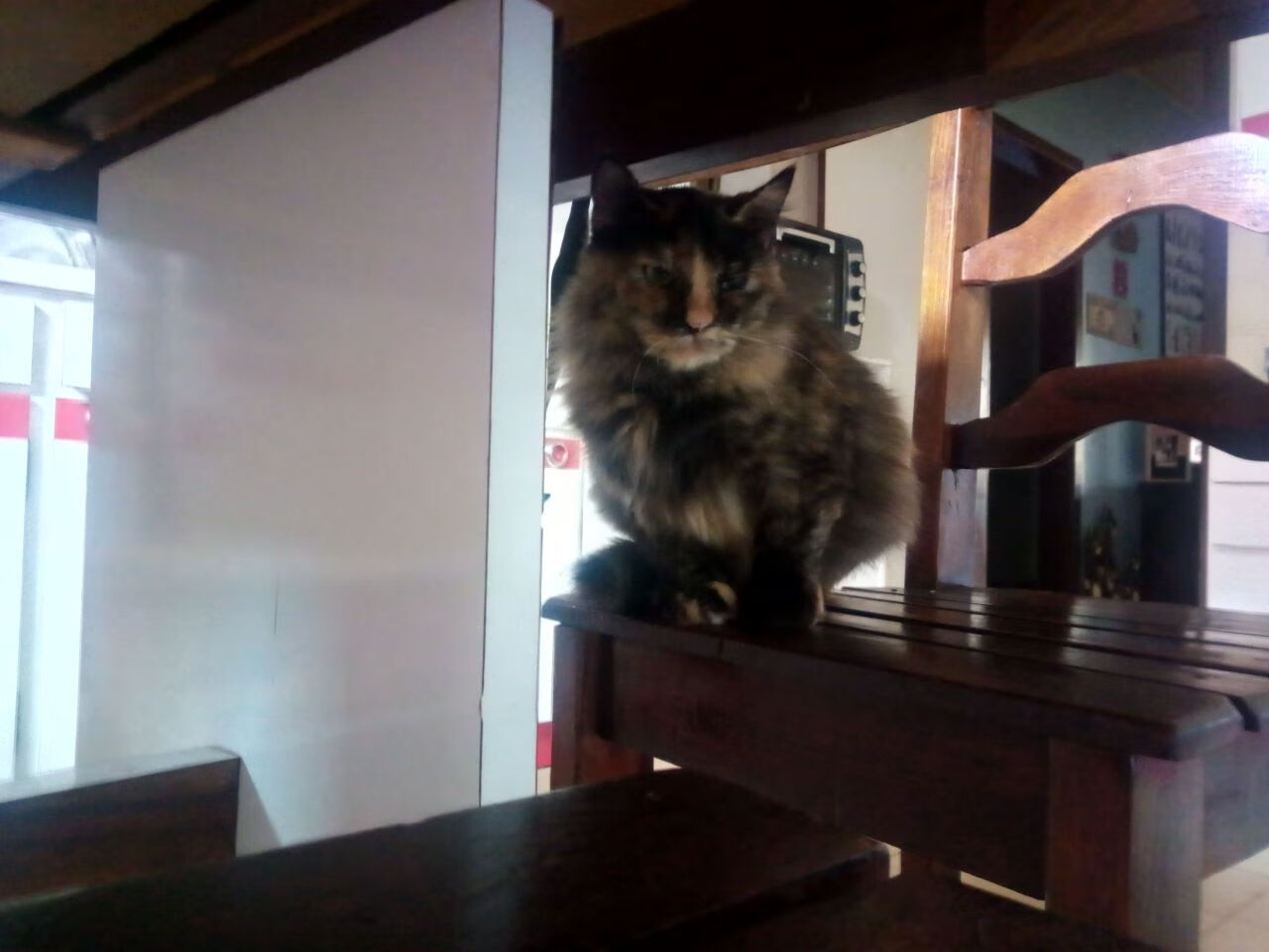 双重唯一性，当迪马利亚肩扛加拿大，却无法在马竞复刻的孤独奇迹