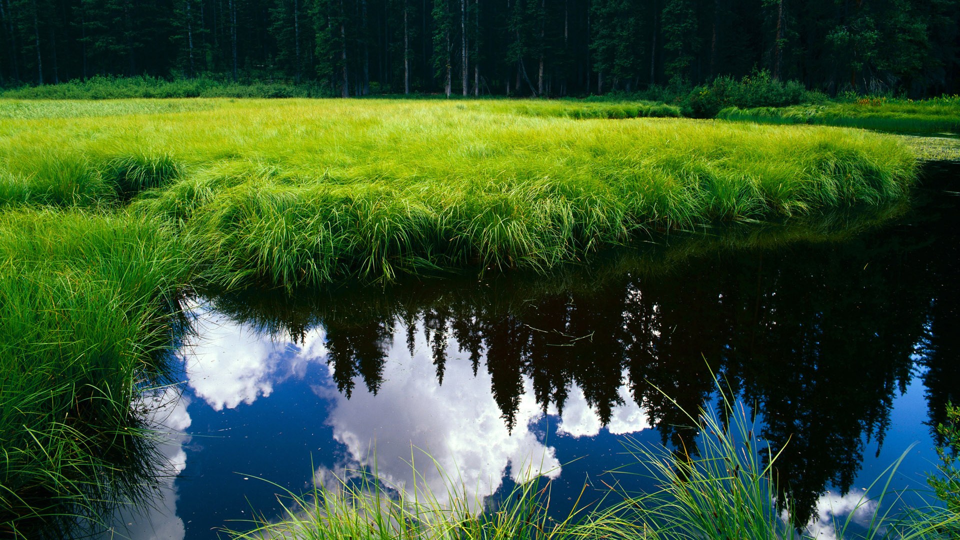 当雷霆轻取是团队胜利,另一个赛场的利拉德正写下接管比赛的定义