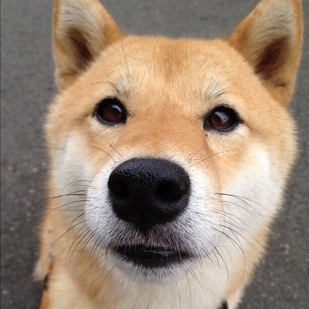 平行宇宙的篮球回响,当CBA的逆袭成为NBA的序曲