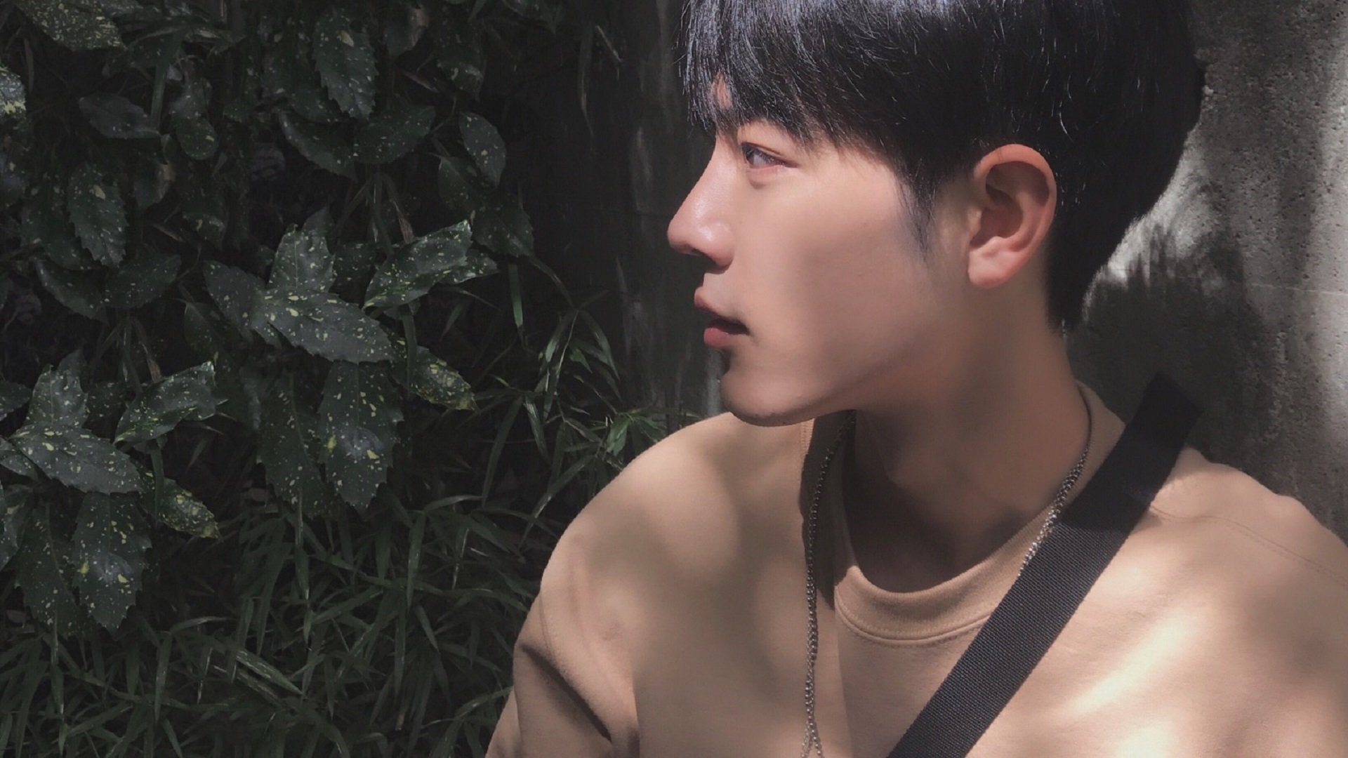 冠军的证明，从赛道轰鸣到球场寂静，体育精神的双面勋章