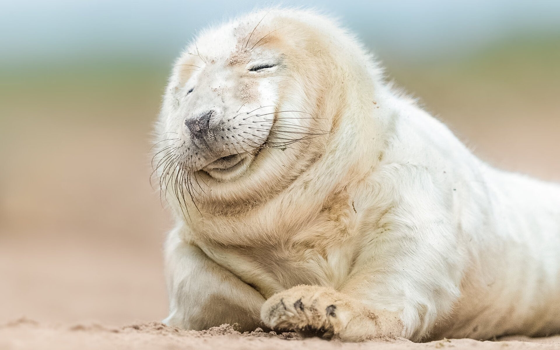 平行时空的决胜时刻，西亚卡姆47分之夜与上海滩的爵士绝唱