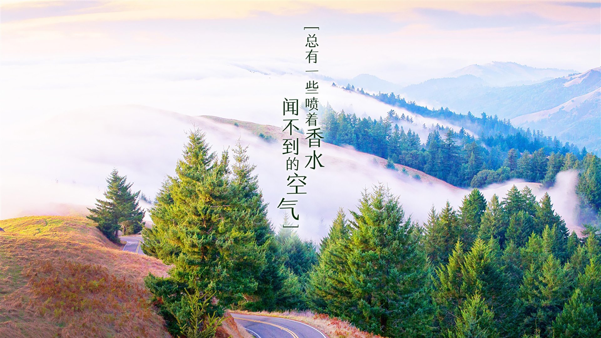 （可选方案）