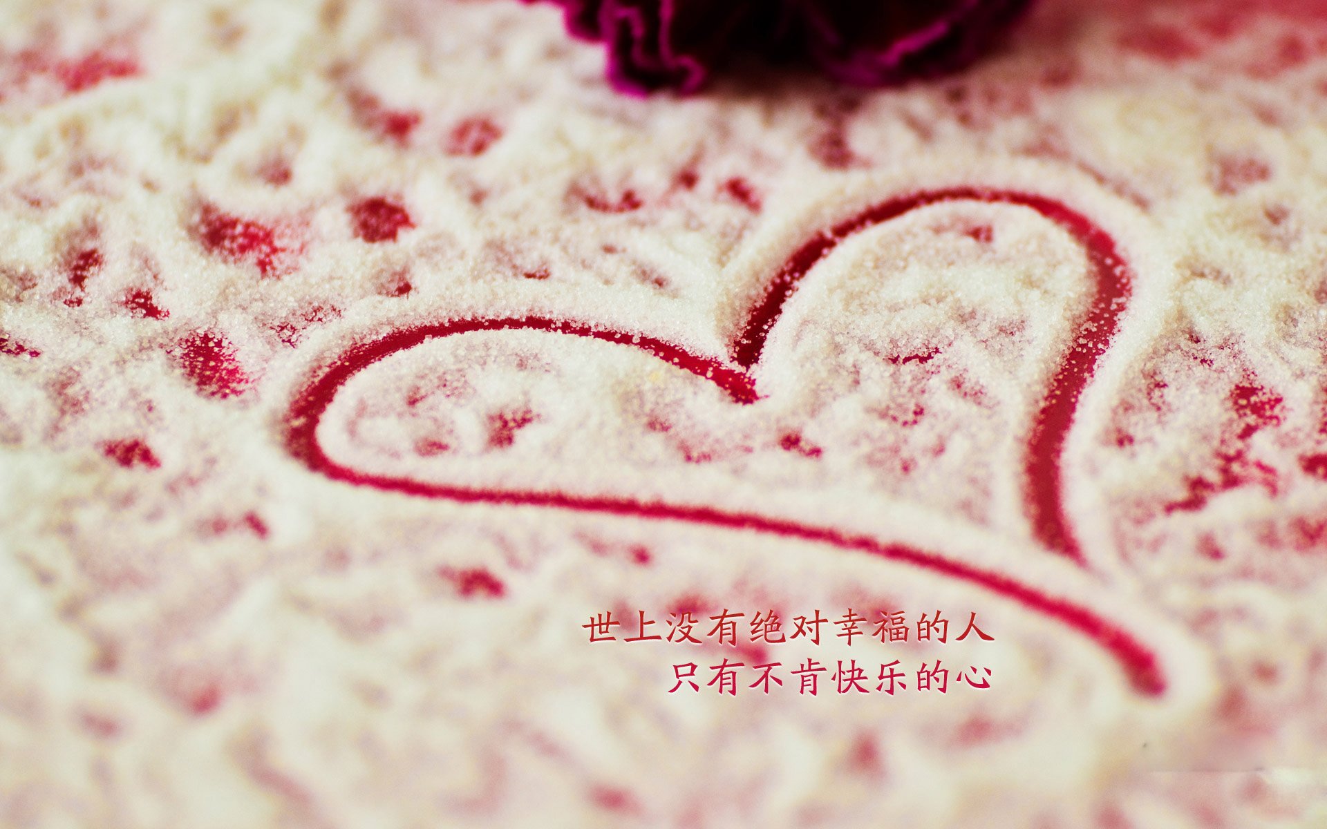 宿敌的雪耻，与猎豹的致命一击，2026世界杯D组，葡萄牙如何用一场快节奏风暴碾碎韩国
