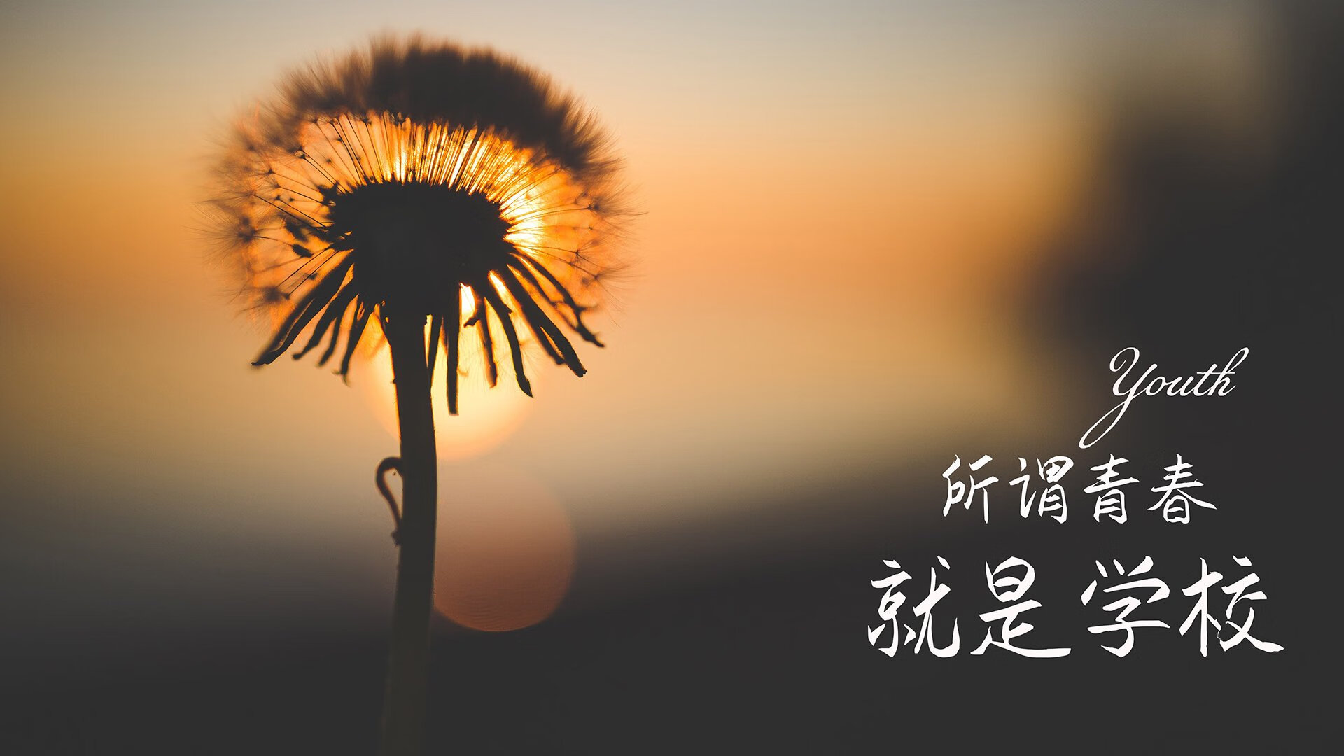 红与蓝的裂变，福登的十分钟，如何将巴尔干火药桶炸成南美不落之星的绝唱