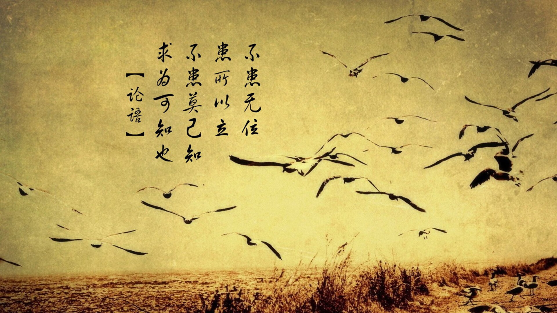 沙漠中的北欧风暴,归化巨星哈兰德领衔,伊拉克足球史诗级碾压摩洛哥