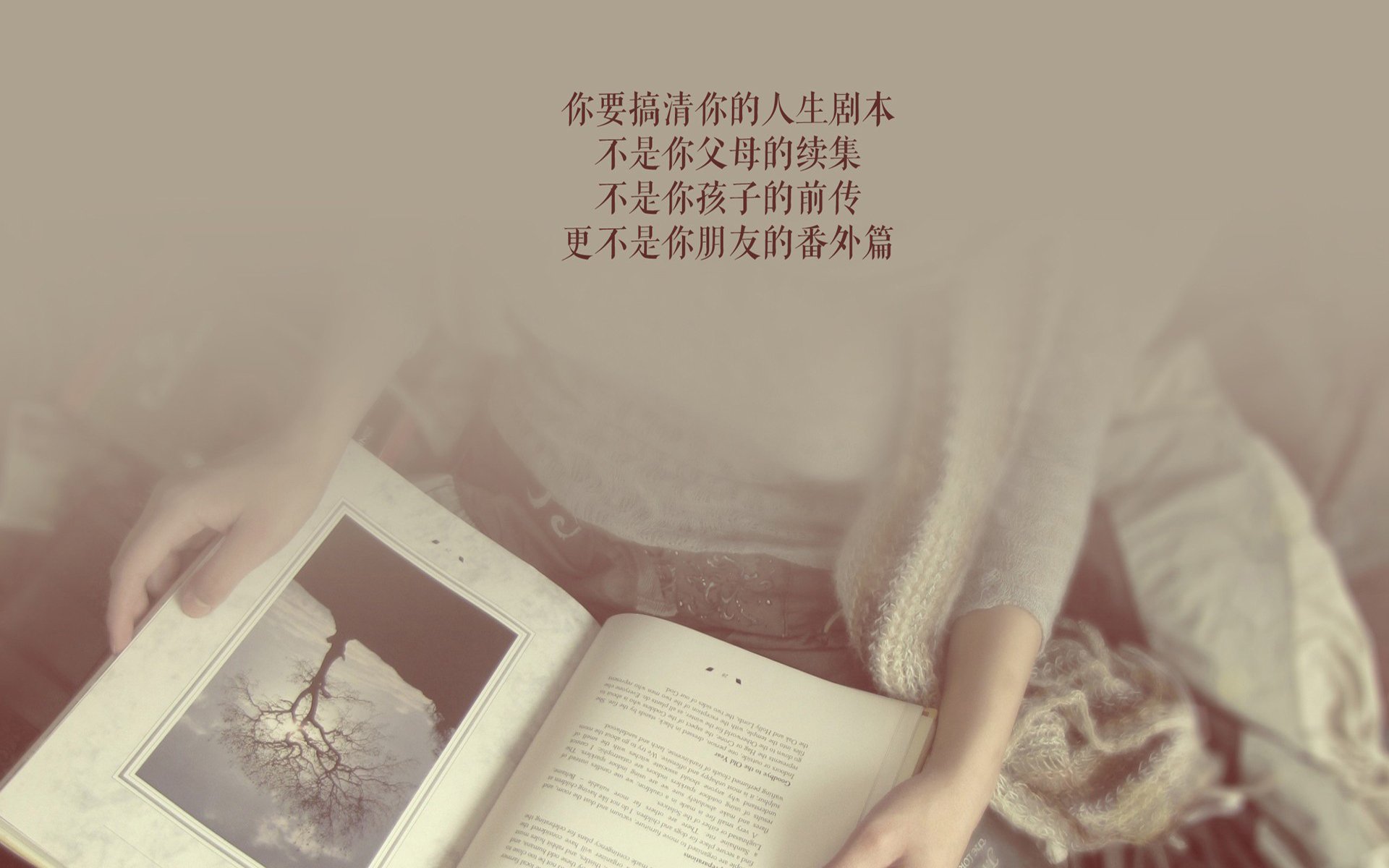 沙漠之狐的致命獠牙,2026世界杯F组,伊拉克如何用三叉戟刺穿西班牙斗牛士的心脏